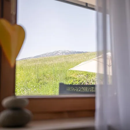 Lichterberg - Sommer-bergbahnticket Inklusive Hirschegg (Vorarlberg)